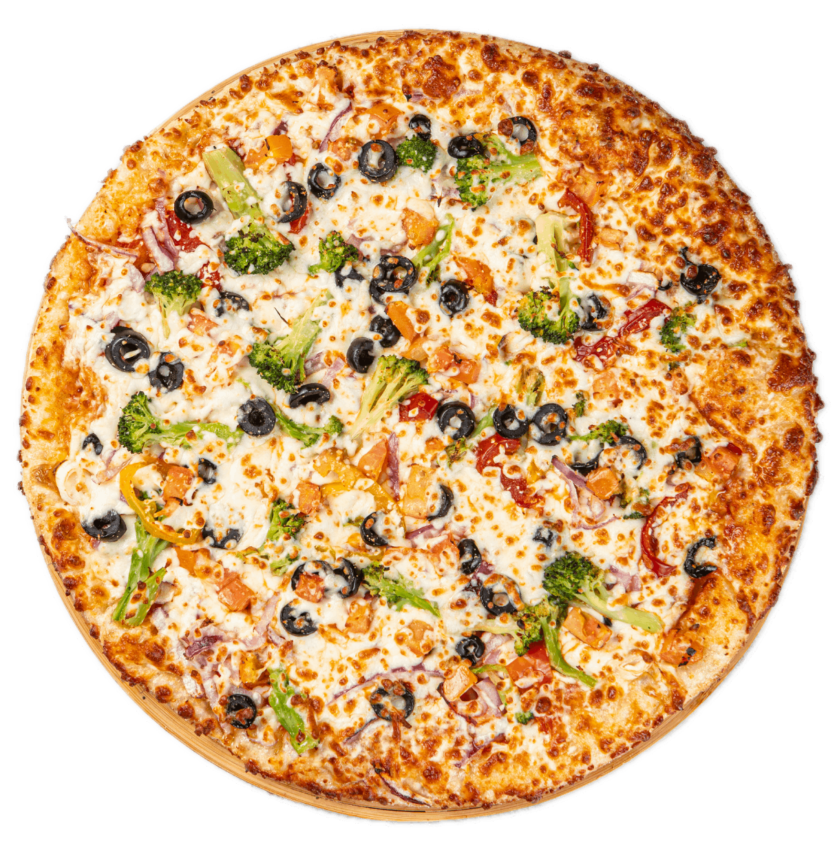 Fresh vegetarian pizza with colourful toppings